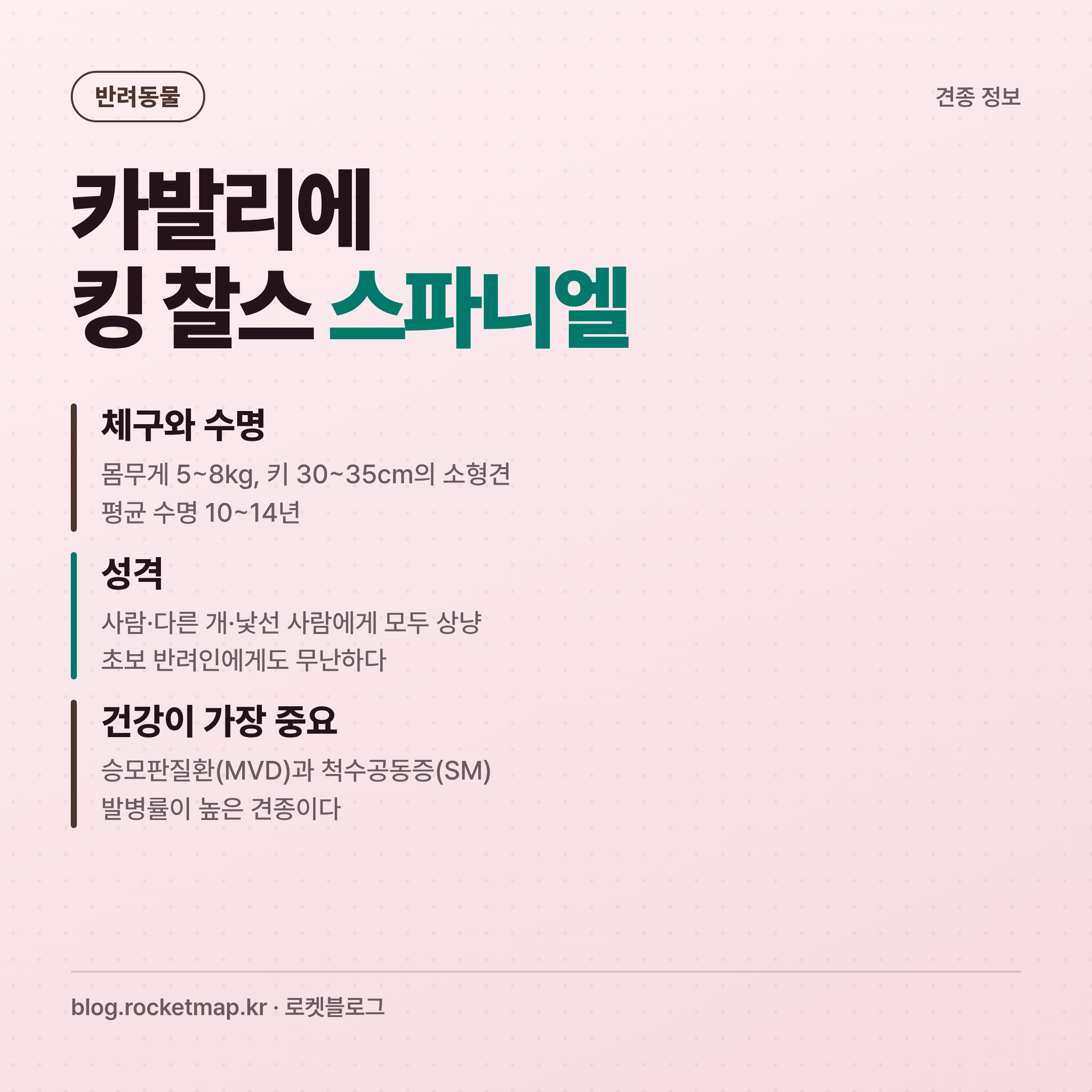 카발리에 킹 찰스 스파니엘 입양 전 확인할 세 가지